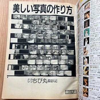 【中古】 山に生きる 苧の里から送る「手織り通信」の十年/大河書房/酒井美智代 Amazon.co.jp: 山に生きる: 苧の里から送る「手織り通信」の十年
